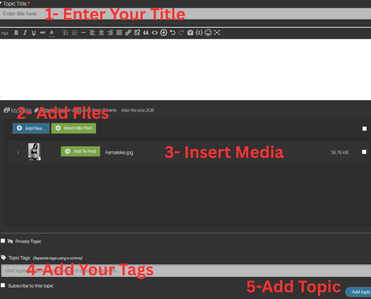 2  Insert Media